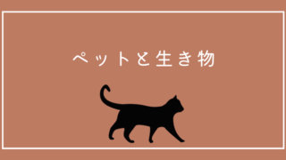 ペット