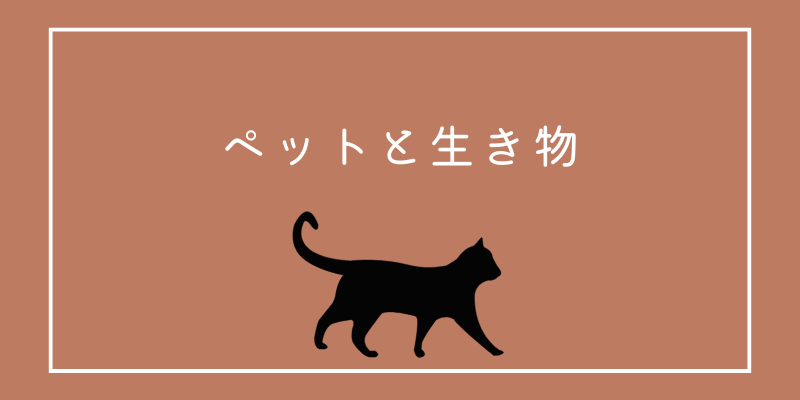 ペット・生き物