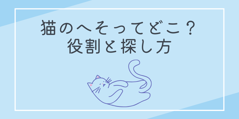 猫のへそってどこ？役割と探し方
