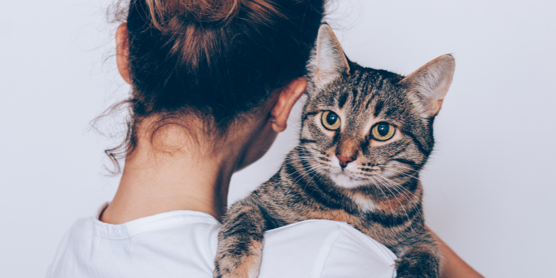 知恵袋で見つけた「誰とも話さない生活」に関するリアルな声