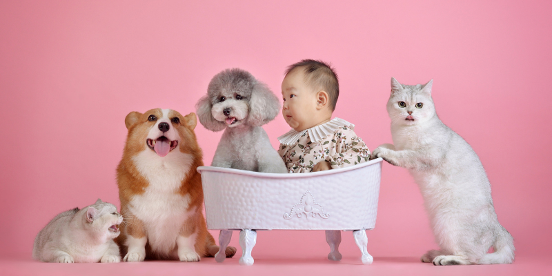 今日からできる!孤独を和らげる対策7選